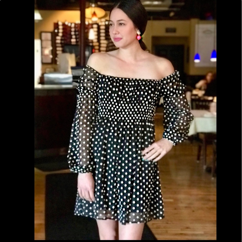 NWT- Sydney Embroidered Flower Dress by Lucy Paris